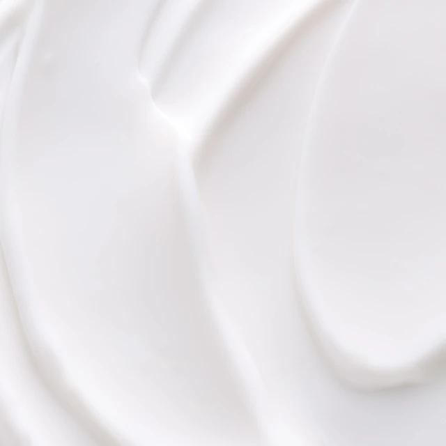 Hydramemory Rich Sorbet Cream Refill - 2