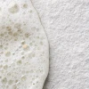 Skin Regimen Lx Enzyme Exfoliator
