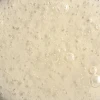 Phyto Nature E² Regenerating Daily Exosome Leave-on Treatment