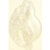 Hair Alchemy Resilience Shampoo
