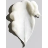 Signature Conditioner